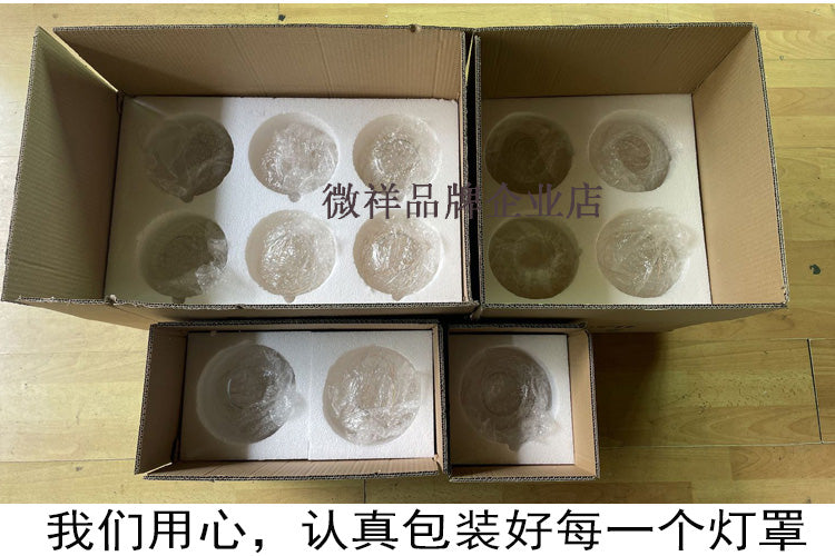 Screw Matte Tube Transparent Ball Shell Cover DIY - Adrianas Specialty Lamp Shades