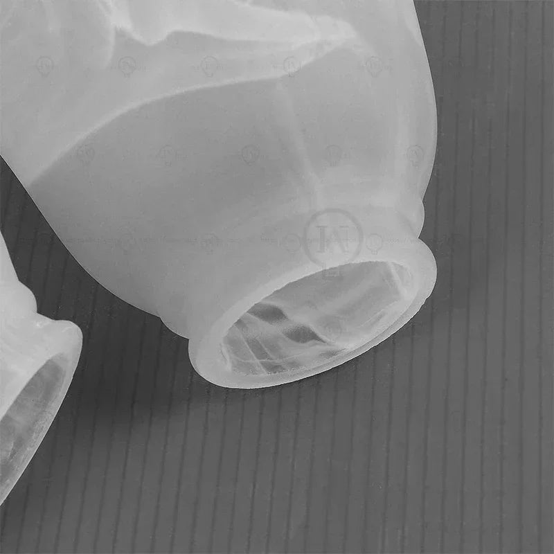 Ceiling fan lampshade, ceiling light replacement