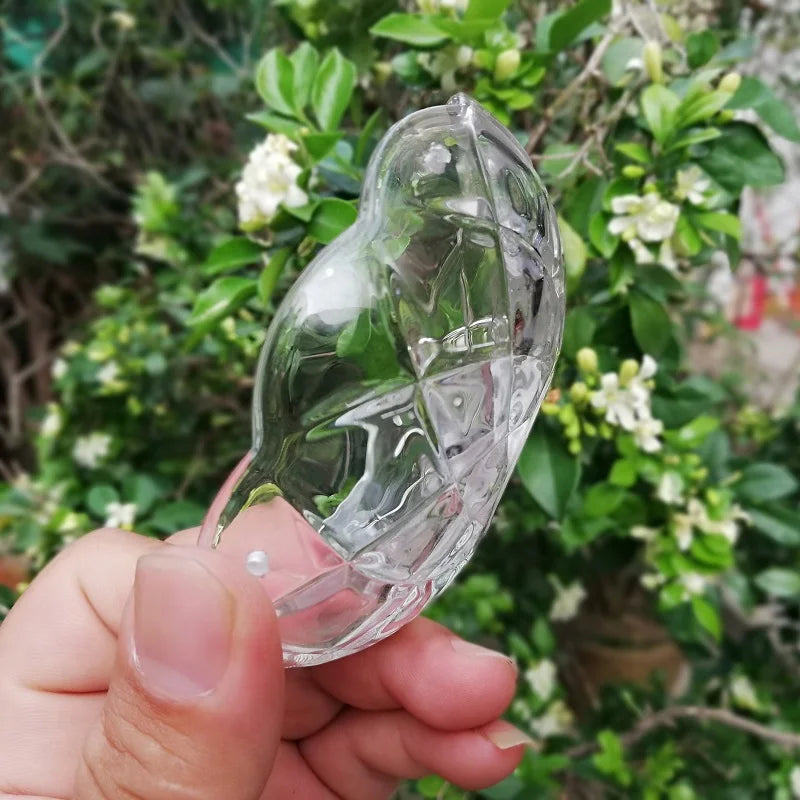 2pcs/lot D100XH30mm European Crystal lampshade floral Glass Bowl Chandelier Decorative plate. E14 tray lighting fittings - Adrianas Specialty Lamp Shades